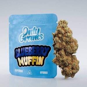 Blueberry Muffin - Superior Blüte 40%